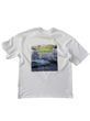 t-shirt /urban nature/Kharkiv  photo